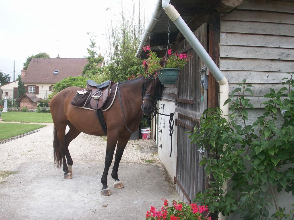 Le Clos Des Perraudieres Cour-Cheverny Eksteriør billede
