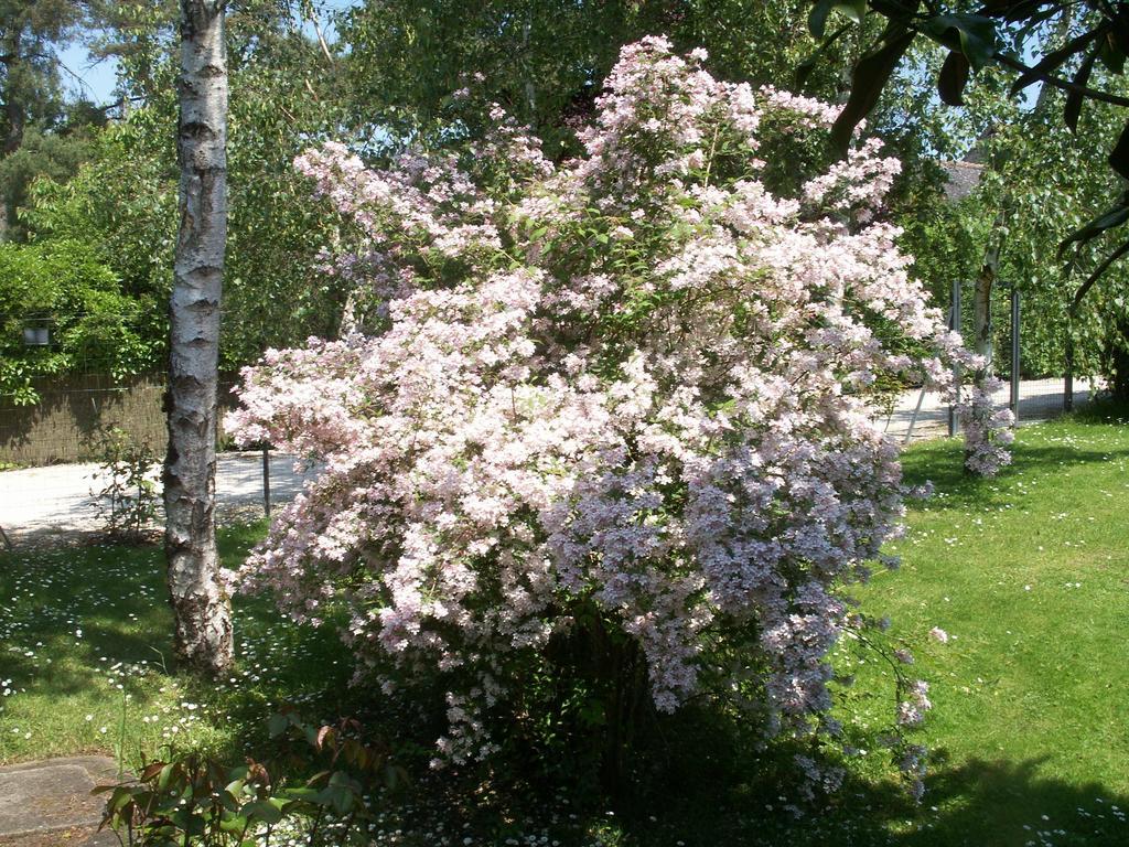Le Clos Des Perraudieres Cour-Cheverny Eksteriør billede