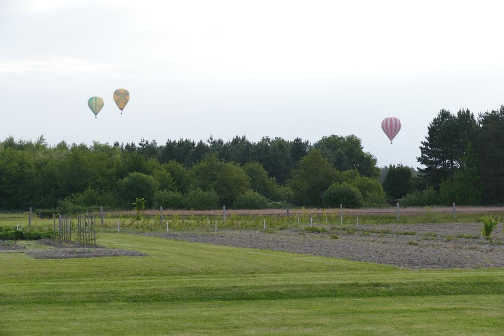 Le Clos Des Perraudieres Cour-Cheverny Eksteriør billede