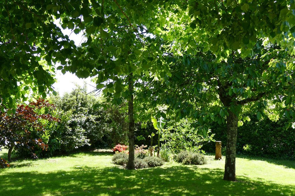 Le Clos Des Perraudieres Cour-Cheverny Eksteriør billede