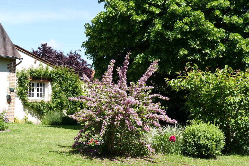 Le Clos Des Perraudieres Cour-Cheverny Eksteriør billede